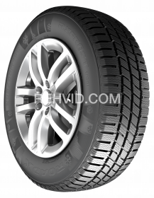 215/70R15C 113/111S FROST WC01 RoadX