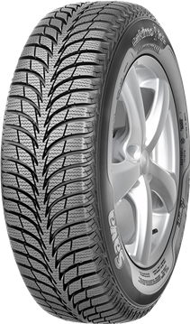 Sava - Eskimo Ice 205/55R16 94 T XL