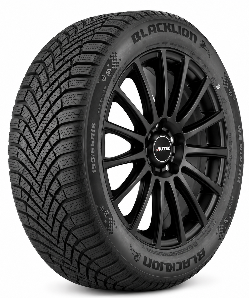 Blacklion W5 195/65R15 95 T XL Ламельные шины